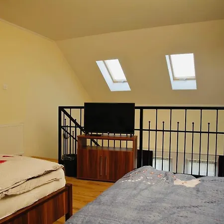 Viktor Vendeghaz Es Apartmanhaz Penzion Baktaloranthaza