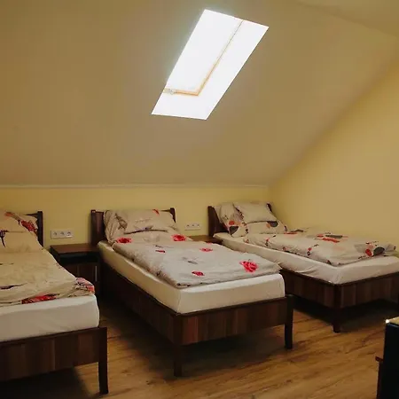 Penzion Viktor Vendeghaz Es Apartmanhaz 3*